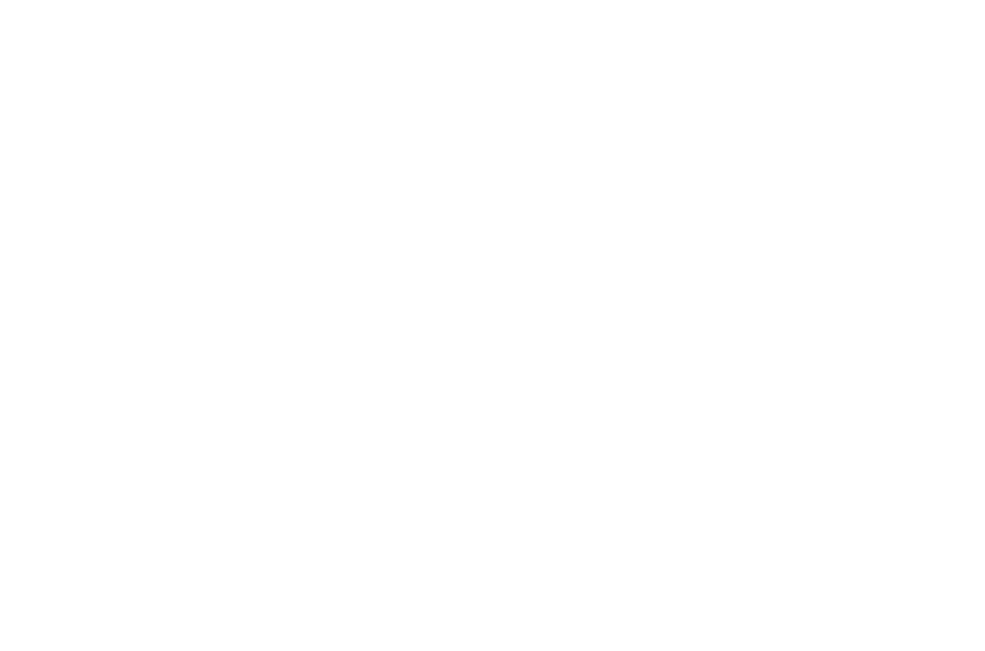 Pluscan Logo