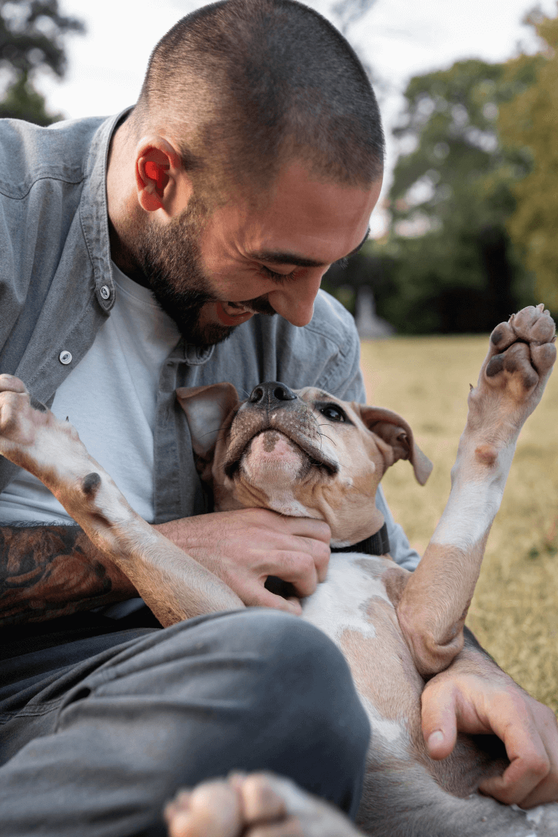Happy Pet